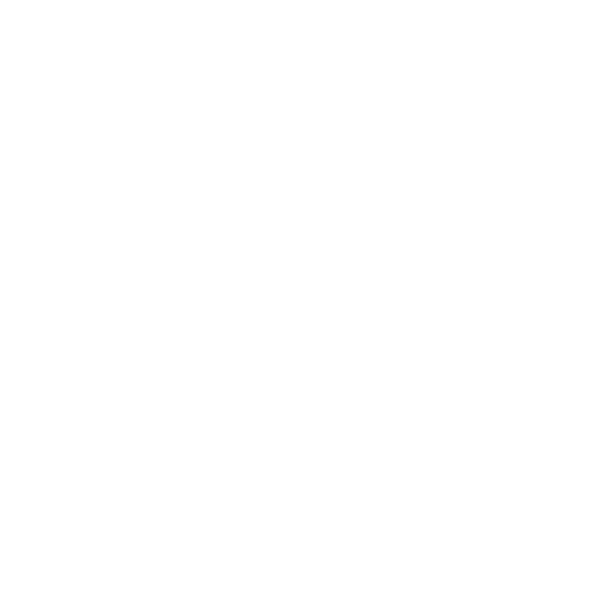 SNA AboutLeadershipIcon
